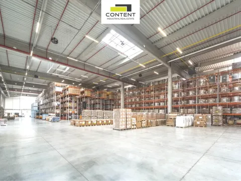 Pronájem výrobních prostor, Ostrava - Kunčičky, Lihovarská, 19500 m2