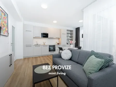 Pronájem bytu 2+kk, Praha - Vysočany, Odkolkova, 52 m2