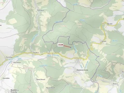 Dražba lesa, Vranová Lhota, 5323 m2