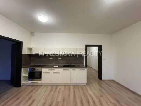 Pronájem bytu 2+kk, České Budějovice - České Budějovice 2, Volejbalistů, 46 m2