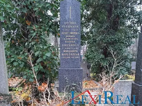 Prodej - jiné, Praha - Žižkov, Vinohradská, 3 m2