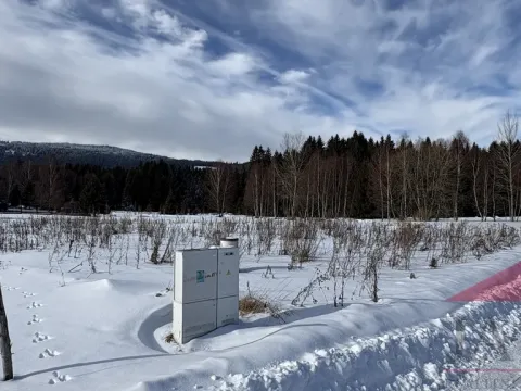 Prodej pozemku pro bydlení, Srní, 3812 m2