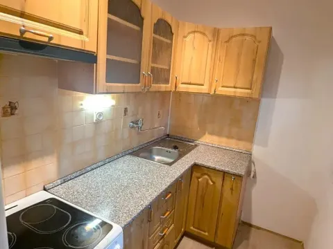 Pronájem bytu 1+1, Bílina, Alšova, 27 m2