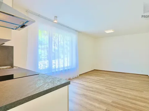 Pronájem bytu 1+kk, Brno, Bystrcká, 30 m2