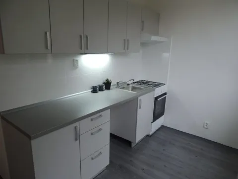 Pronájem bytu 1+1, Ostrava - Hrabůvka, Dvouletky, 37 m2