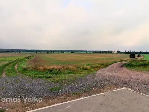 Prodej pole, Cvrčovice, 2032 m2