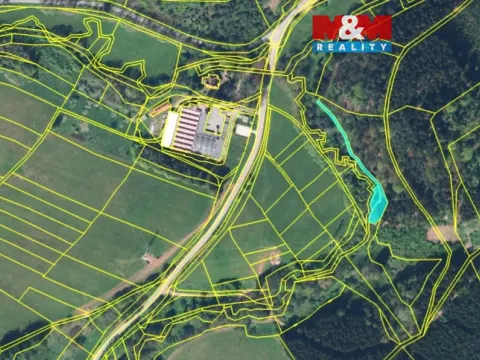 Prodej lesa, Stárkov, 640 m2