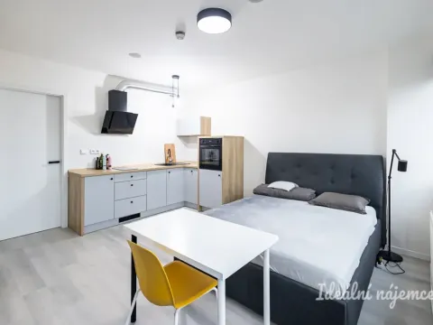 Pronájem bytu 1+kk, Praha - Vinohrady, Perucká, 25 m2
