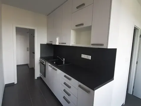 Prodej bytu 2+1, Milevsko, J. A. Komenského, 62 m2