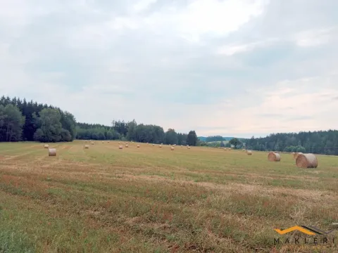 Prodej pole, Horní Radouň - Starý Bozděchov, 237194 m2