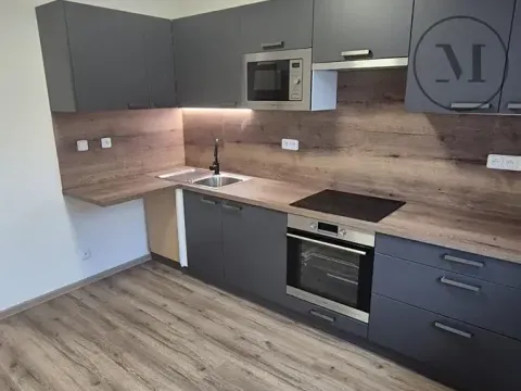 Pronájem bytu 1+1, České Budějovice, Novohradská, 33 m2