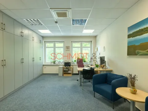 Pronájem kanceláře, Hustopeče, Herbenova, 20 m2
