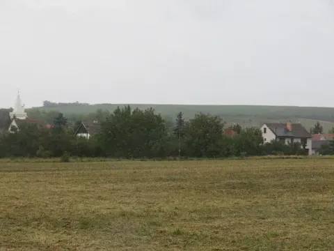 Dražba pole, Pravlov, 1289 m2