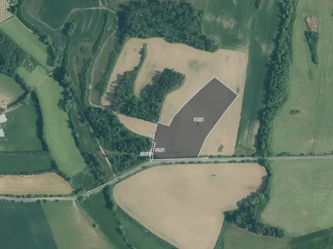 Prodej pole, Velký Bor, 34439 m2