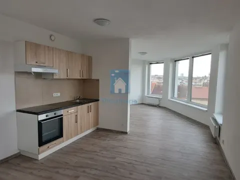 Pronájem bytu 1+kk, Plzeň, Železniční, 43 m2