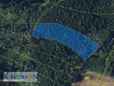 Prodej lesa, Vratislávka, 4384 m2