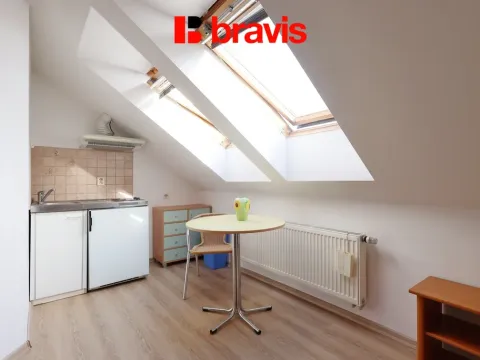 Pronájem bytu 1+kk, Brno, Palackého třída, 28 m2
