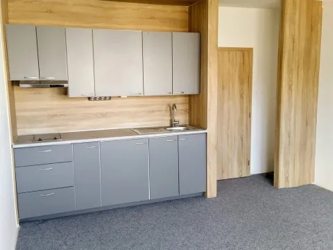 Pronájem bytu 1+kk, Opava, Na Pastvisku, 23 m2