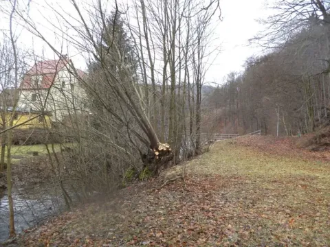 Dražba louky, Velké Hamry, 214 m2