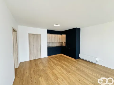 Pronájem bytu 2+kk, Brandýs nad Labem-Stará Boleslav - Brandýs nad Labem, Dřevčická, 61 m2