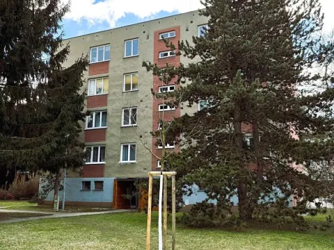 Pronájem bytu 3+1, Brno, Horní, 68 m2