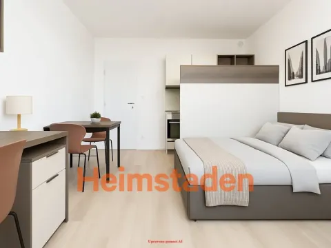 Pronájem bytu 1+kk, Plzeň - Jižní Předměstí, Magisterská, 27 m2