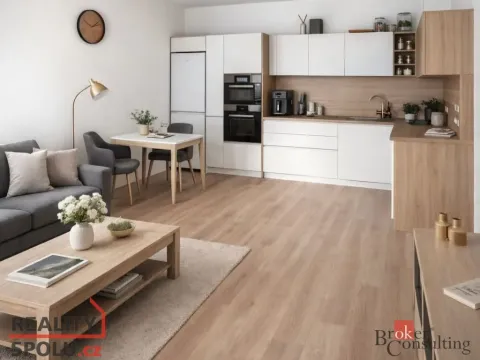 Pronájem bytu 2+kk, Plzeň - Východní Předměstí, Sladová, 55 m2