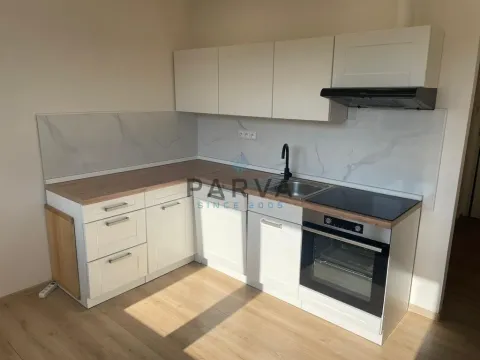 Pronájem bytu 1+1, Plzeň - Bolevec, Studentská, 39 m2