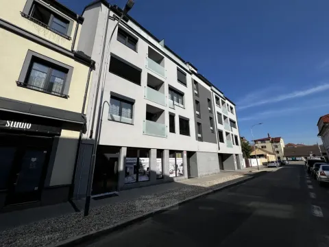 Pronájem bytu 1+kk, České Budějovice, Chelčického, 47 m2