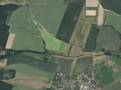 Prodej louky, Přeštice, 87920 m2