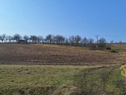 Prodej sadu/vinice, Hovorany, 1322 m2