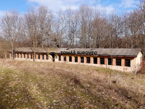 Prodej zemědělské usedlosti, Lhotka u Litultovic, 162 m2