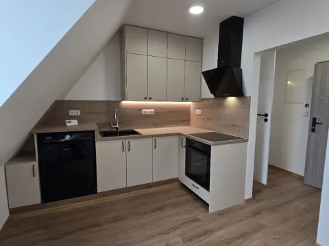 Pronájem bytu 1+kk, Sokolov, Josefa Kajetána Tyla, 31 m2