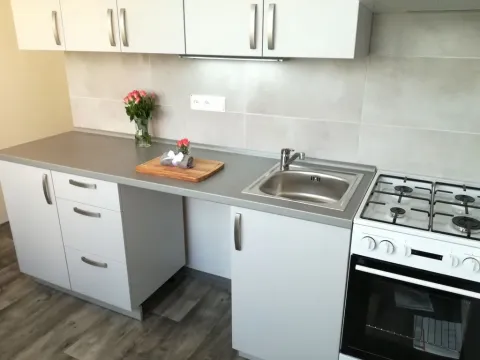 Pronájem bytu 2+1, Ostrava - Hrabůvka, Plzeňská, 55 m2