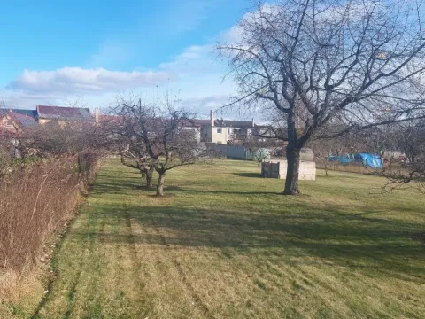 Prodej zahrady, Olomouc, Lidická, 1080 m2