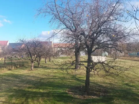 Prodej zahrady, Olomouc, Lidická, 1080 m2