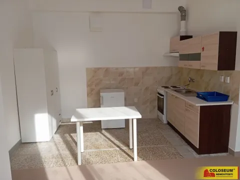 Pronájem bytu 1+kk, Brno - Maloměřice, 30 m2