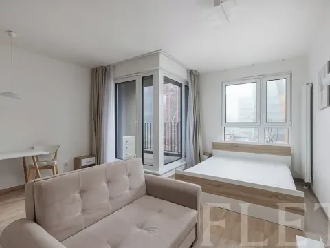 Pronájem bytu 1+kk, Praha - Žižkov, Olgy Havlové, 40 m2