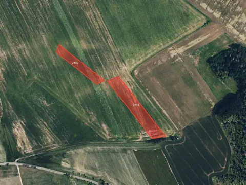 Prodej pole, Určice, 6204 m2