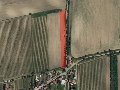 Prodej pole, Milotice, 13194 m2