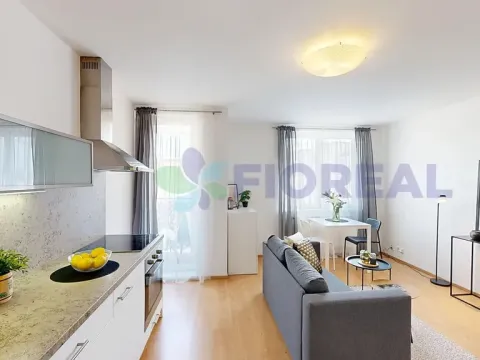 Pronájem bytu 1+kk, Praha - Žižkov, Rečkova, 32 m2