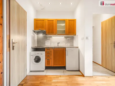 Prodej bytu 1+kk, Praha - Žižkov, Milíčova, 19 m2