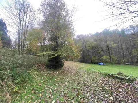 Dražba louky, Hartmanice, 1679 m2