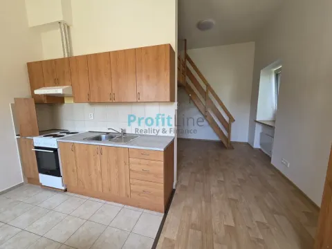 Pronájem bytu 1+kk, Zábřeh, Sušilova, 46 m2