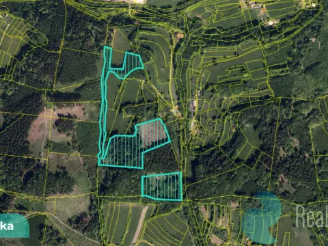 Prodej podílu 4/10 lesa, Bystřička, 16784 m2