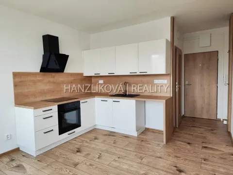 Pronájem bytu 1+1, České Budějovice - České Budějovice 2, J. Opletala, 40 m2