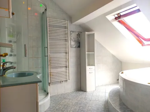 Pronájem bytu 3+1, Ostrava, Daliborova, 160 m2