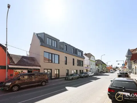 Pronájem ordinace, Praha - Vinoř, Mladoboleslavská, 92 m2