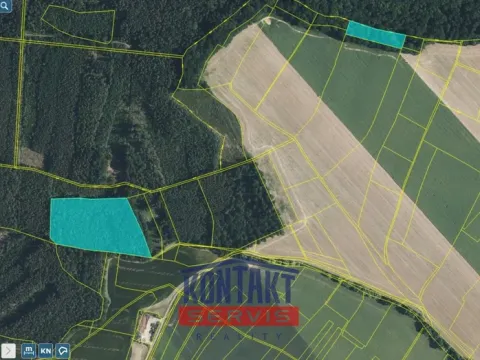 Prodej lesa, Bačalky - Lično, 32004 m2