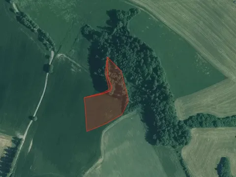 Prodej pole, Kolinec, 5076 m2